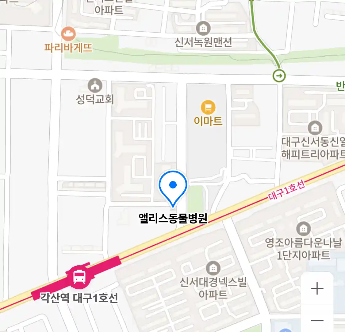 앨리스동물병원