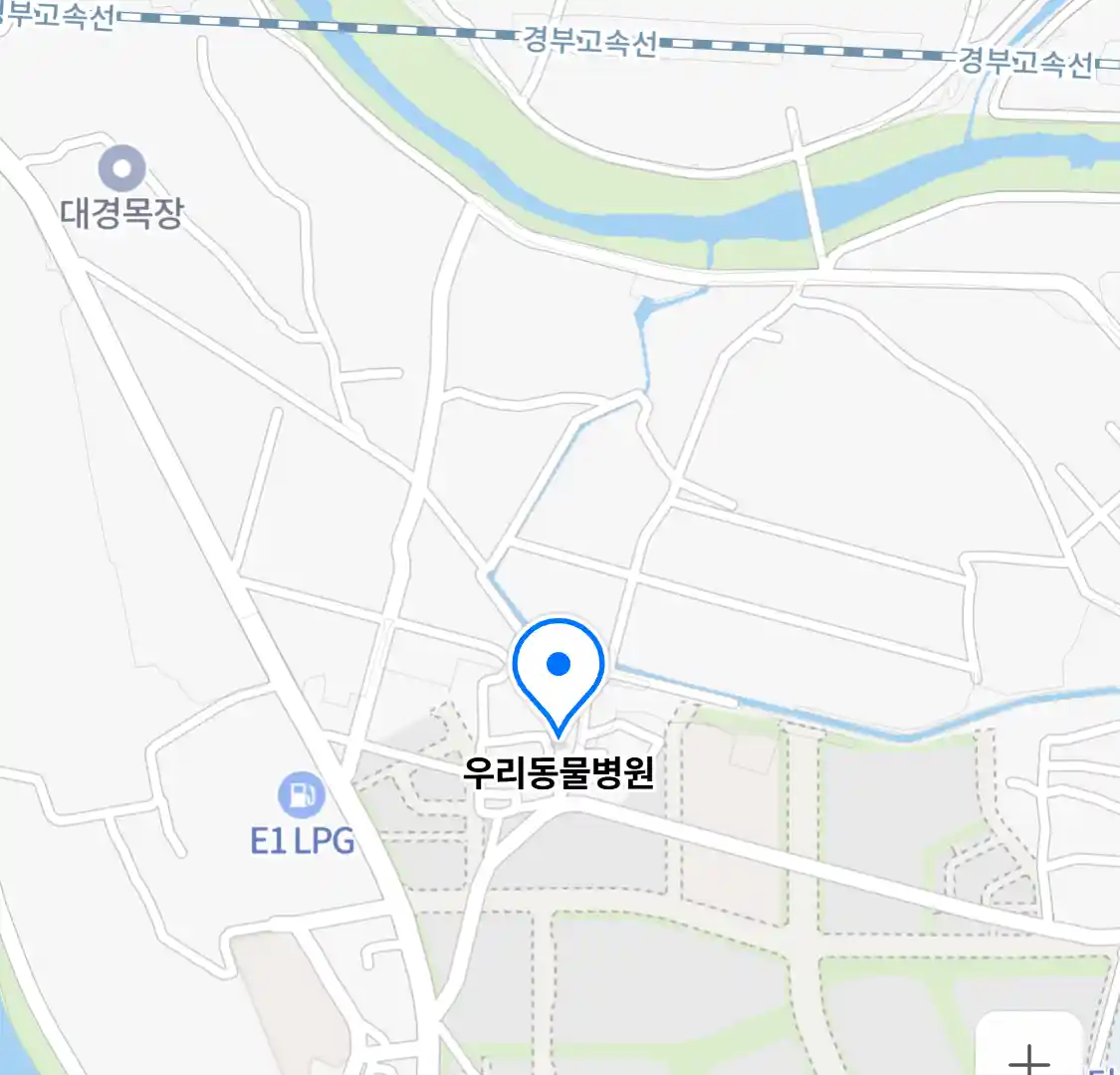 우리동물병원