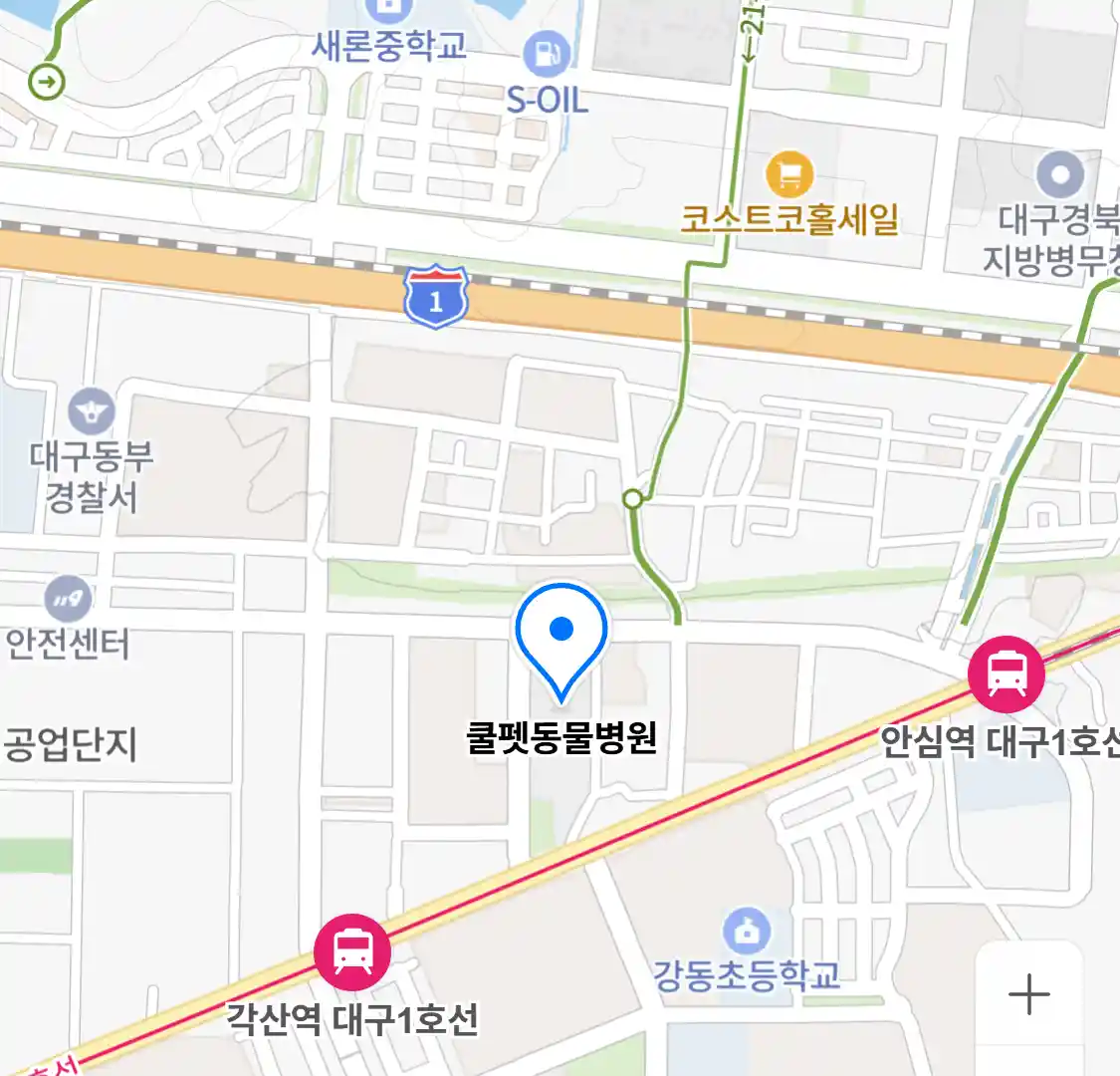 쿨펫동물병원