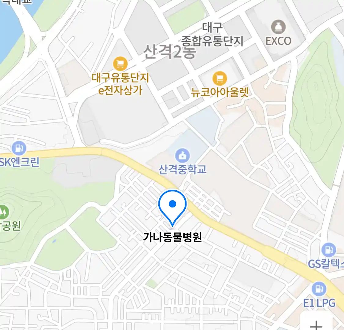 가나동물병원