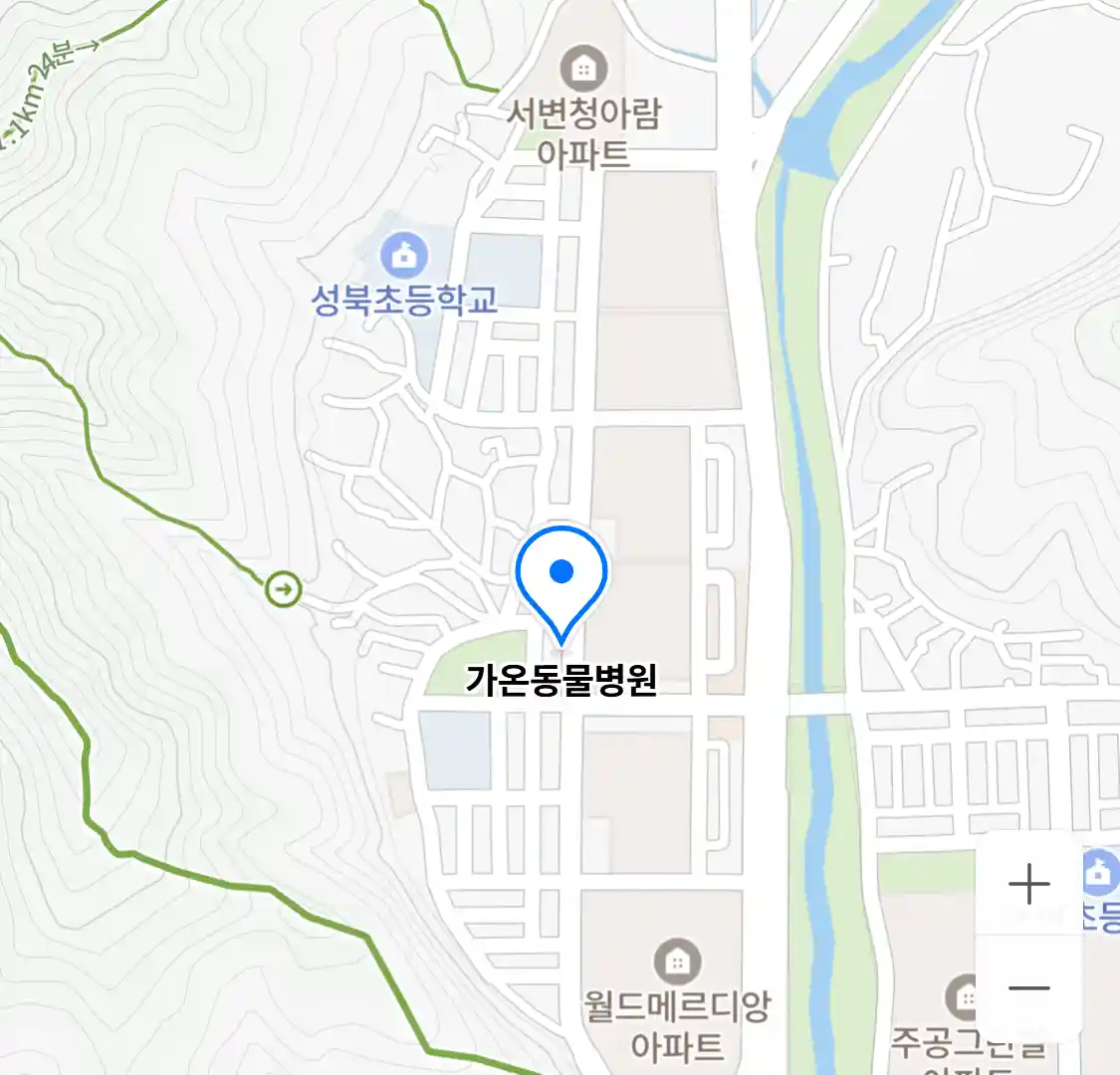 가온동물병원