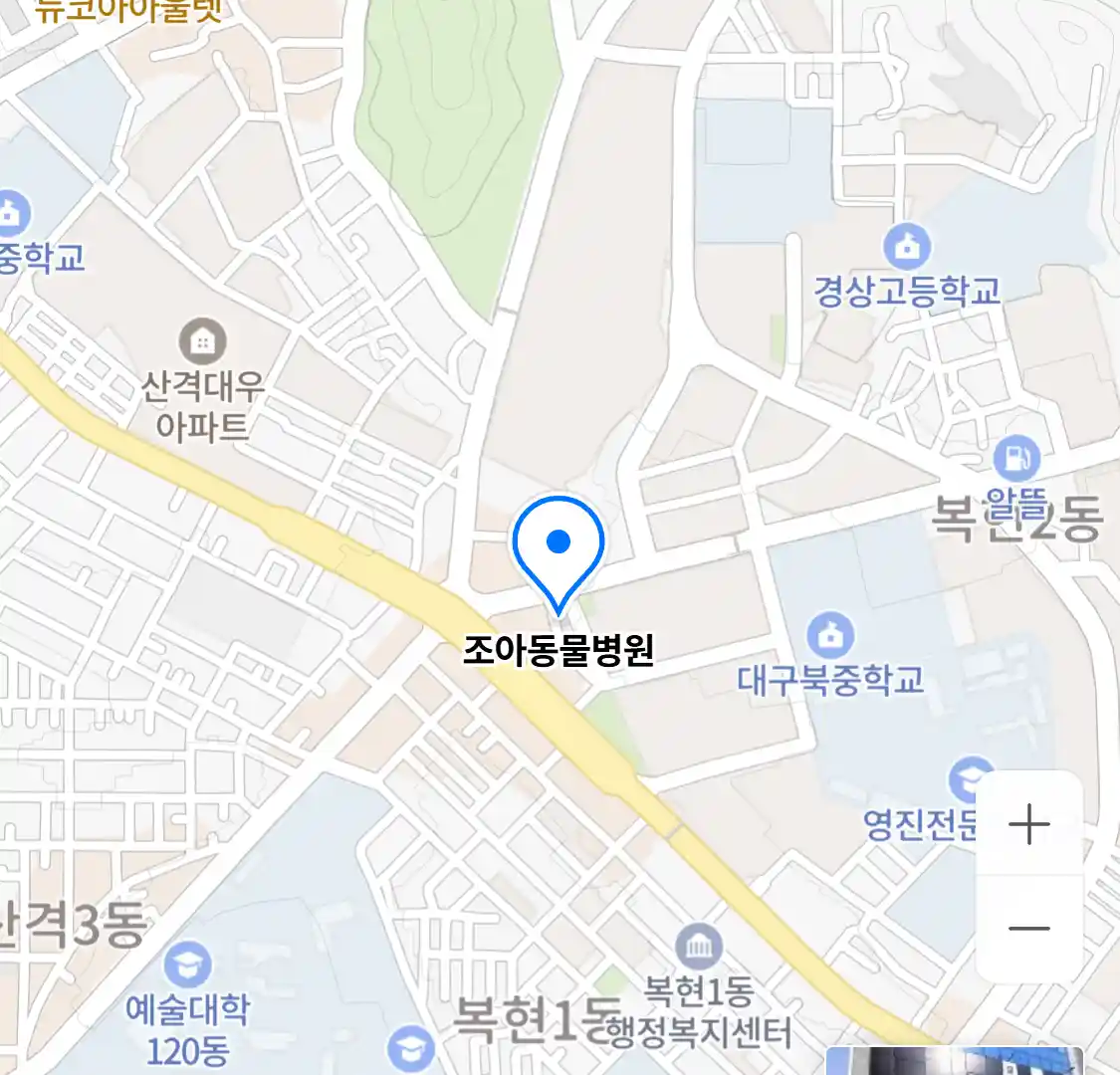 조아동물병원