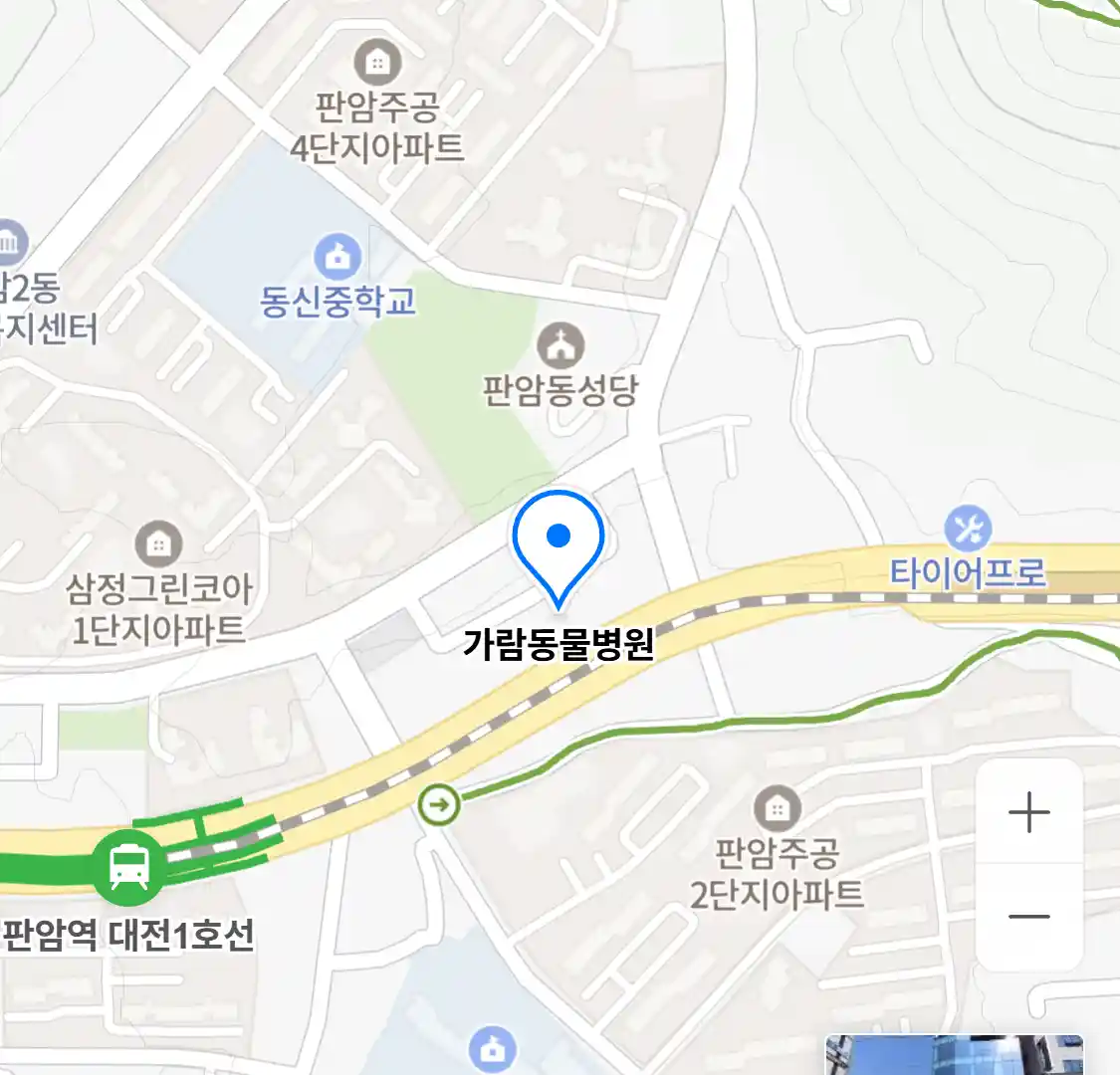 가람동물병원