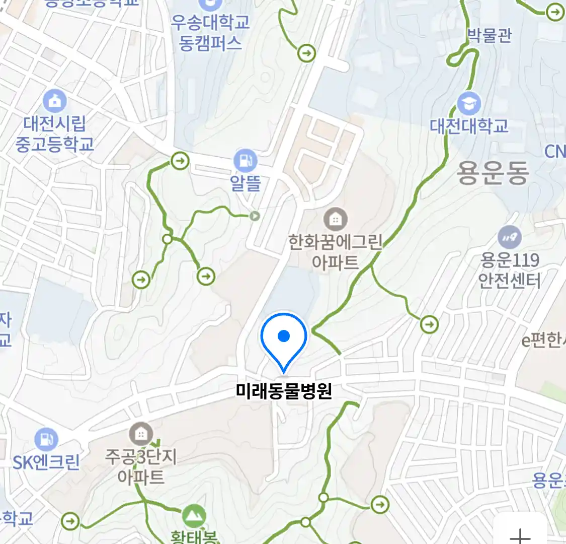 미래동물병원