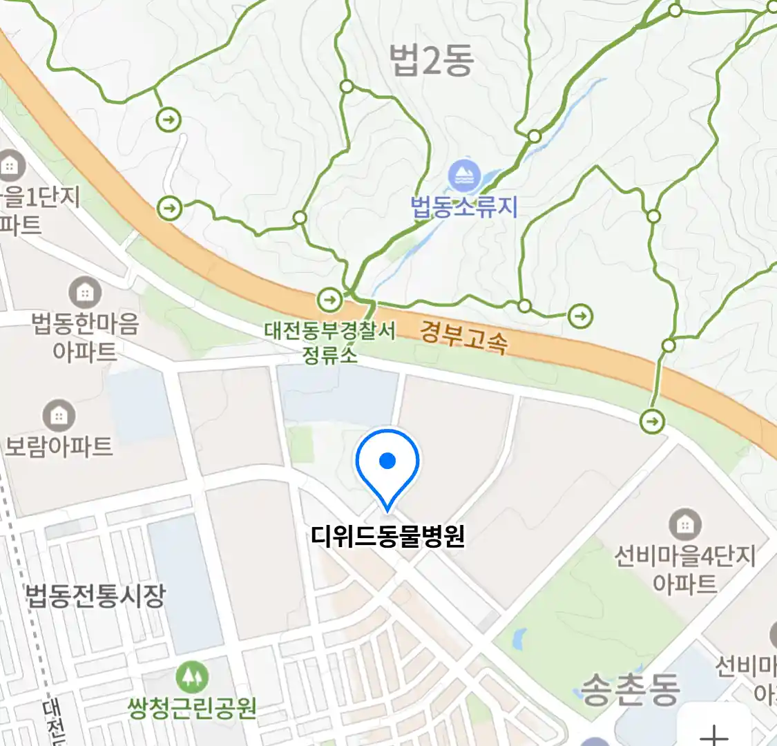 디위드동물병원