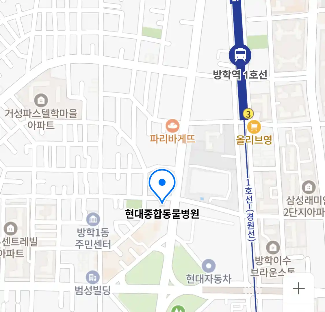 현대종합동물병원