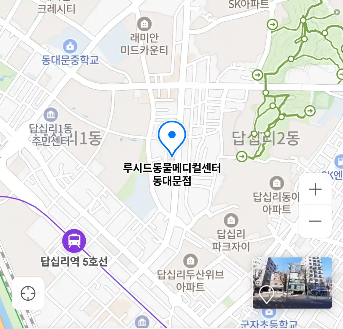 루시드동물메디컬센터 동대문점