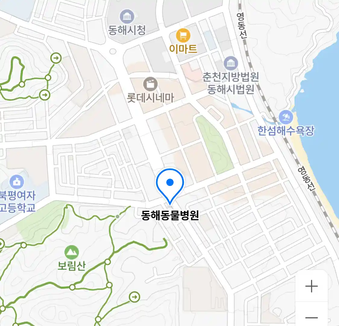 동해동물병원