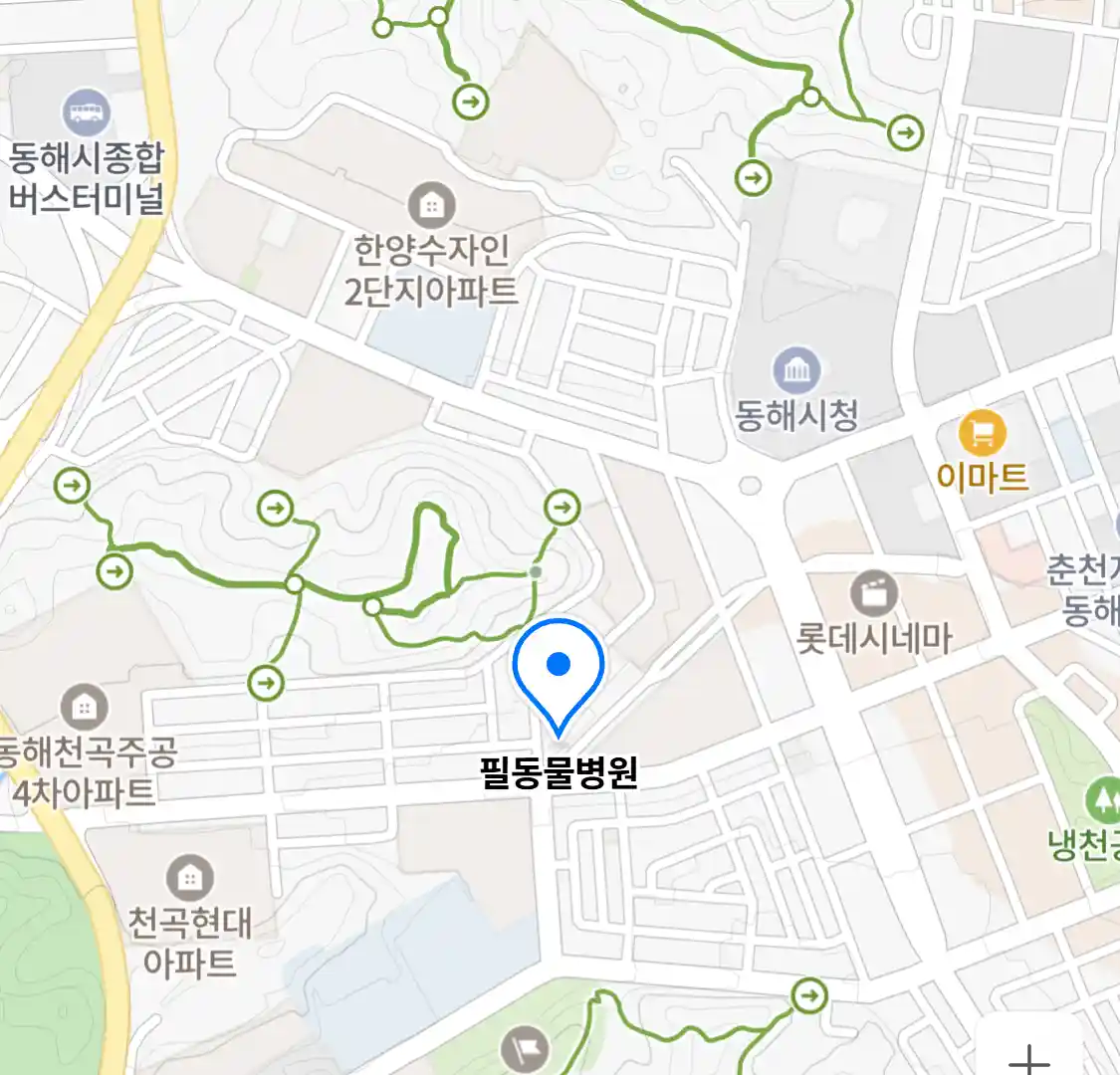 필동물병원