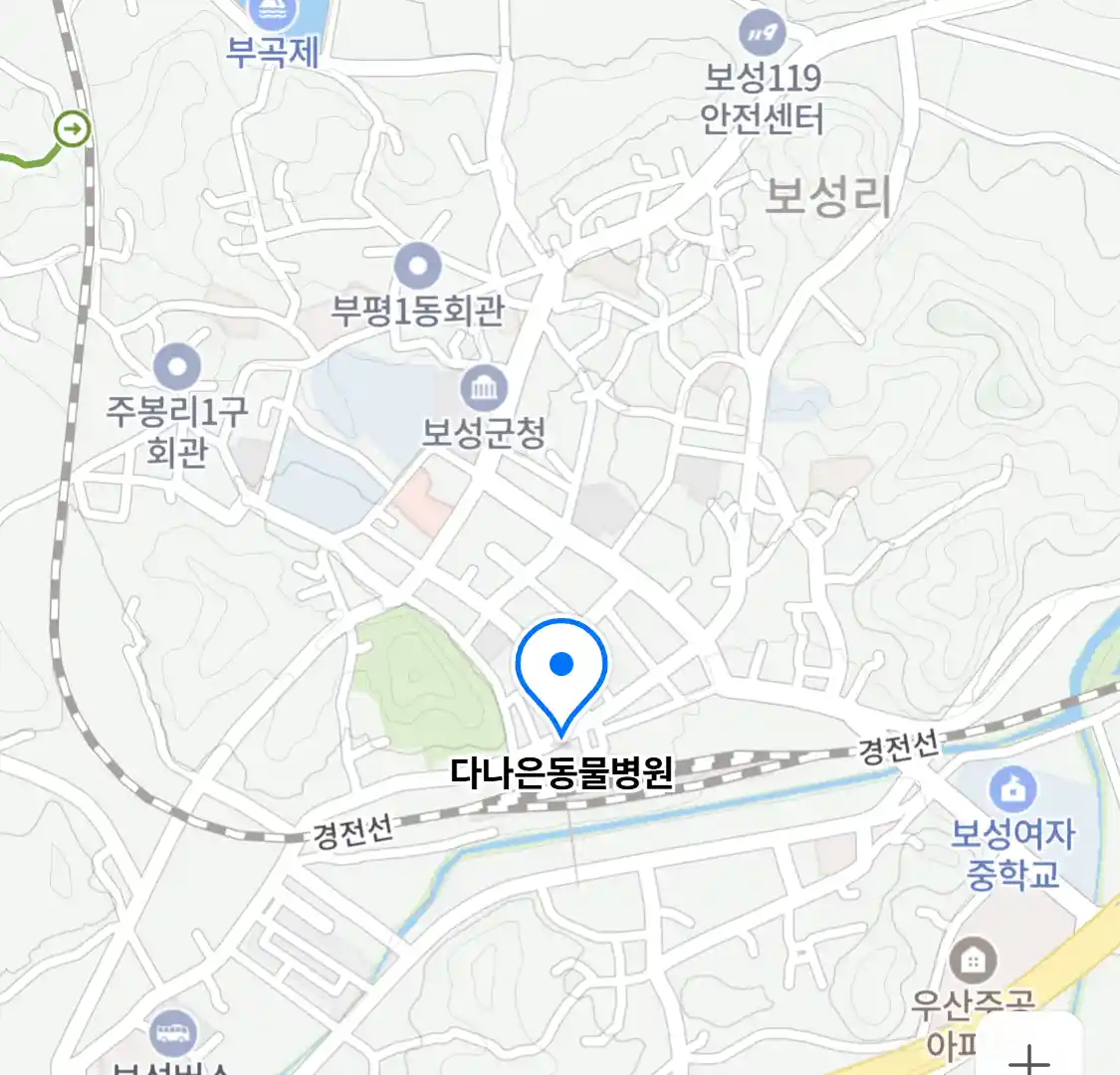 다나은동물병원