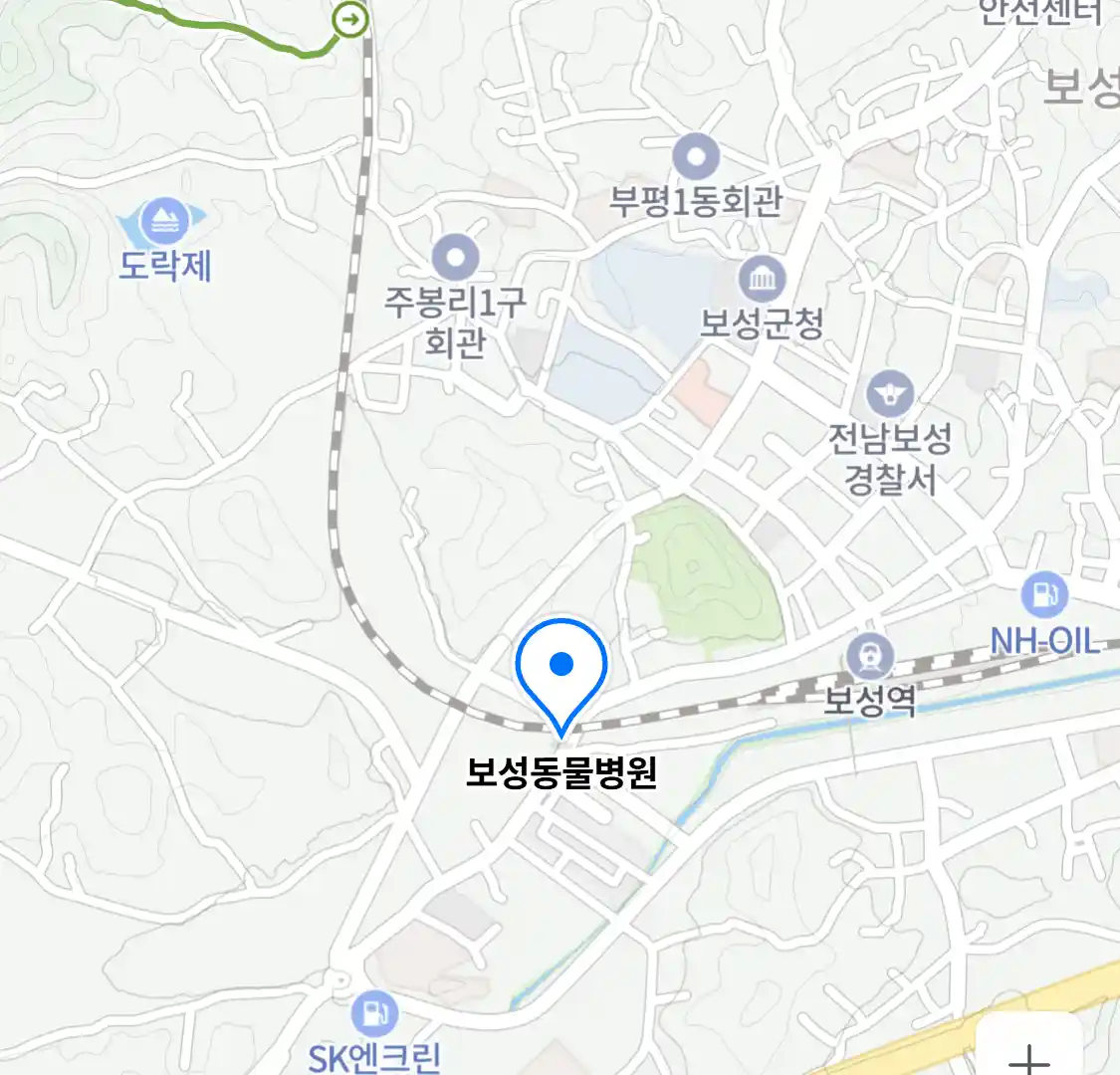 보성동물병원