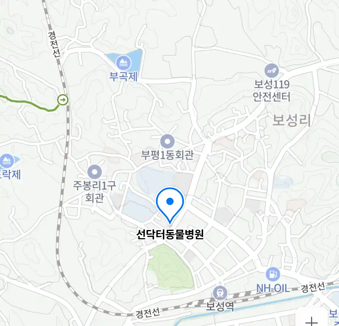 선닥터동물병원