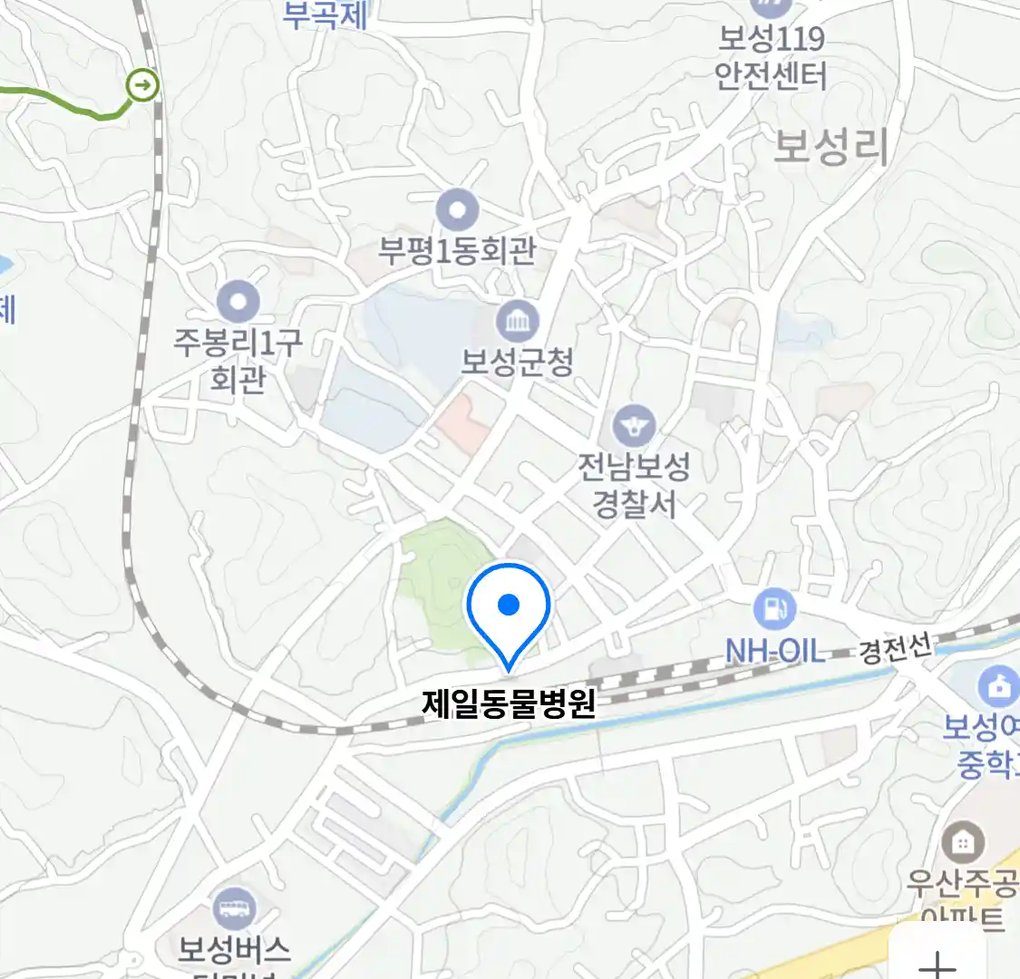 제일동물병원