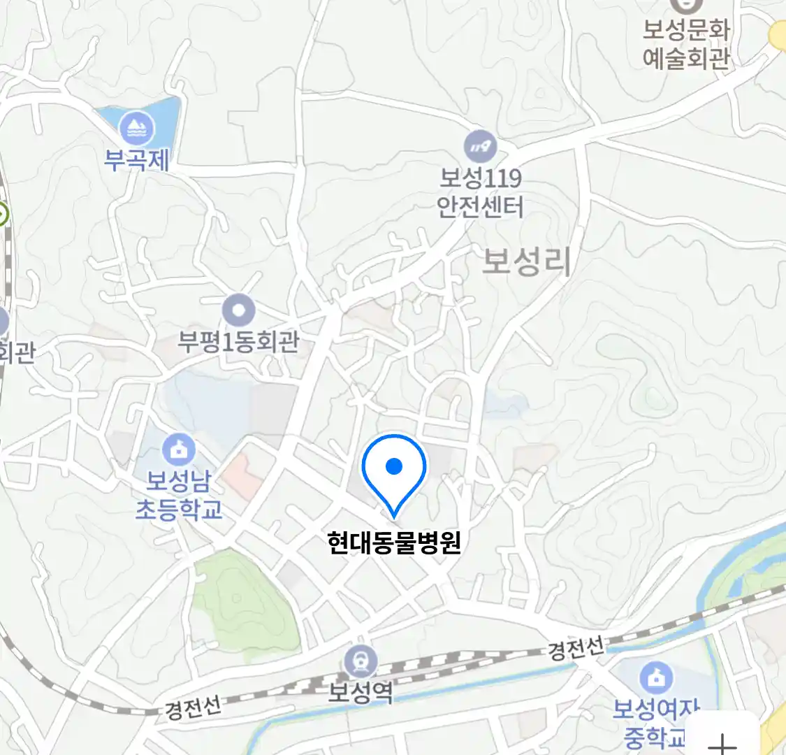 현대동물병원