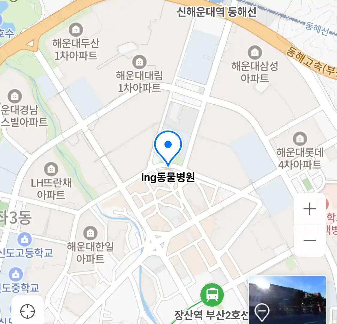 ing동물병원