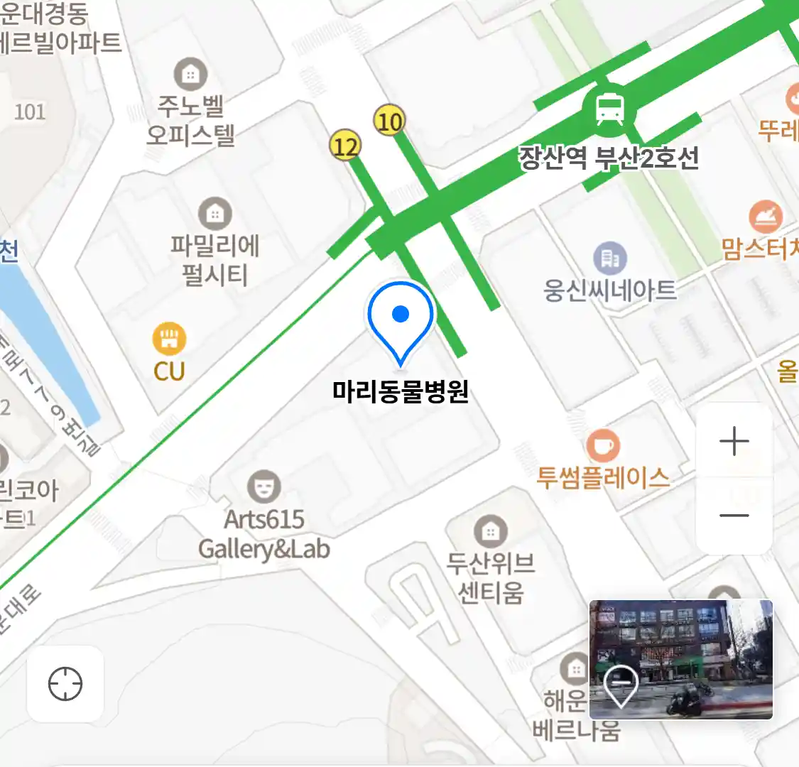 마리동물병원