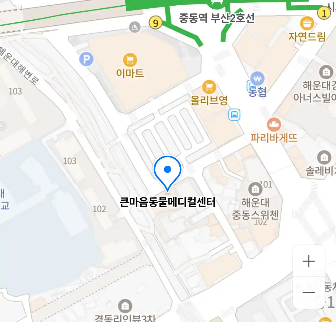 큰마음동물메디컬센터