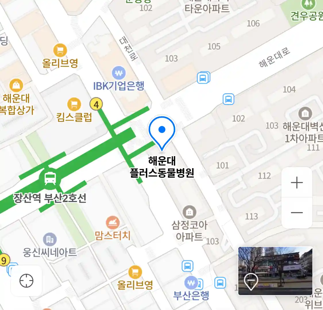 해운대 플러스동물병원