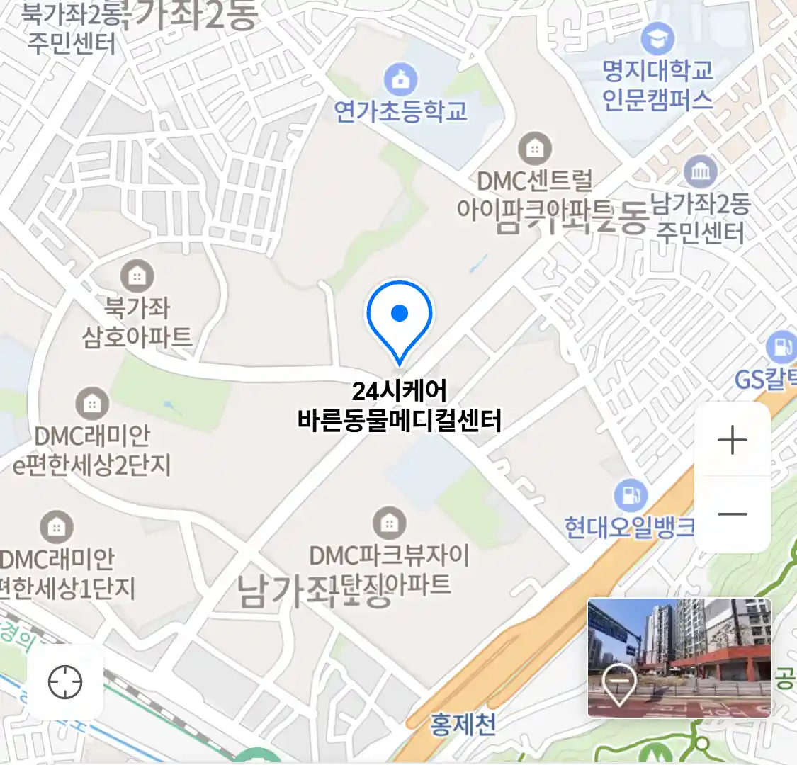24시케어 바른동물메디컬센터