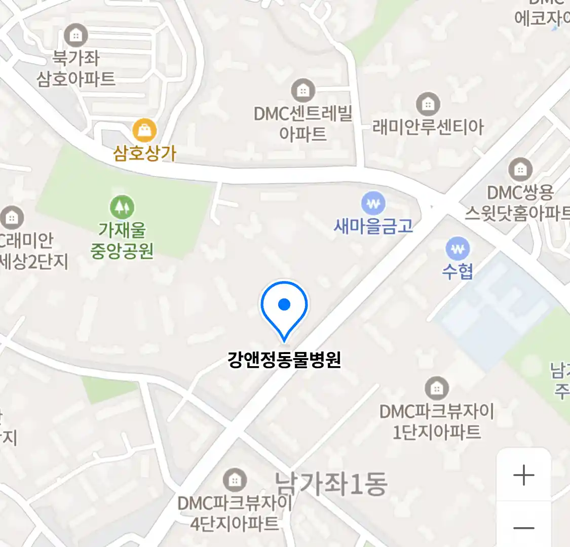 강앤정동물병원