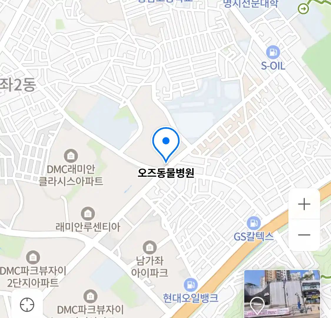 오즈동물병원