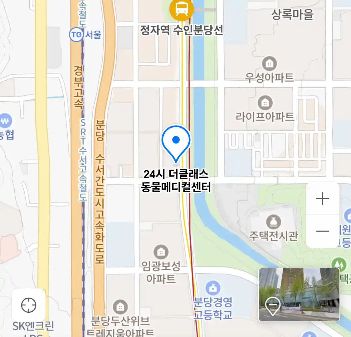 24시 더클래스 동물메디컬센터