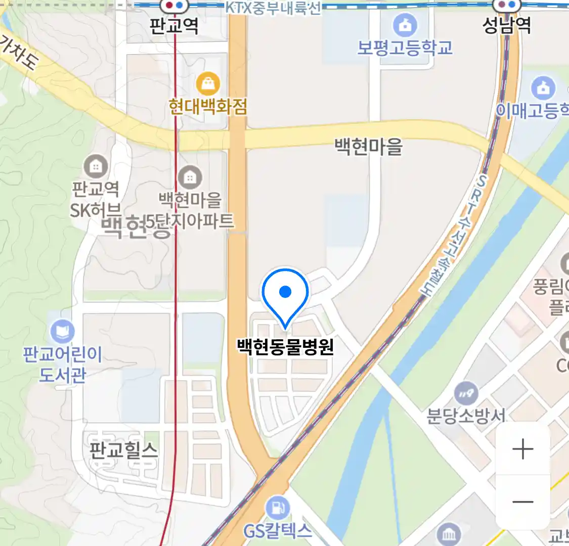 백현동물병원