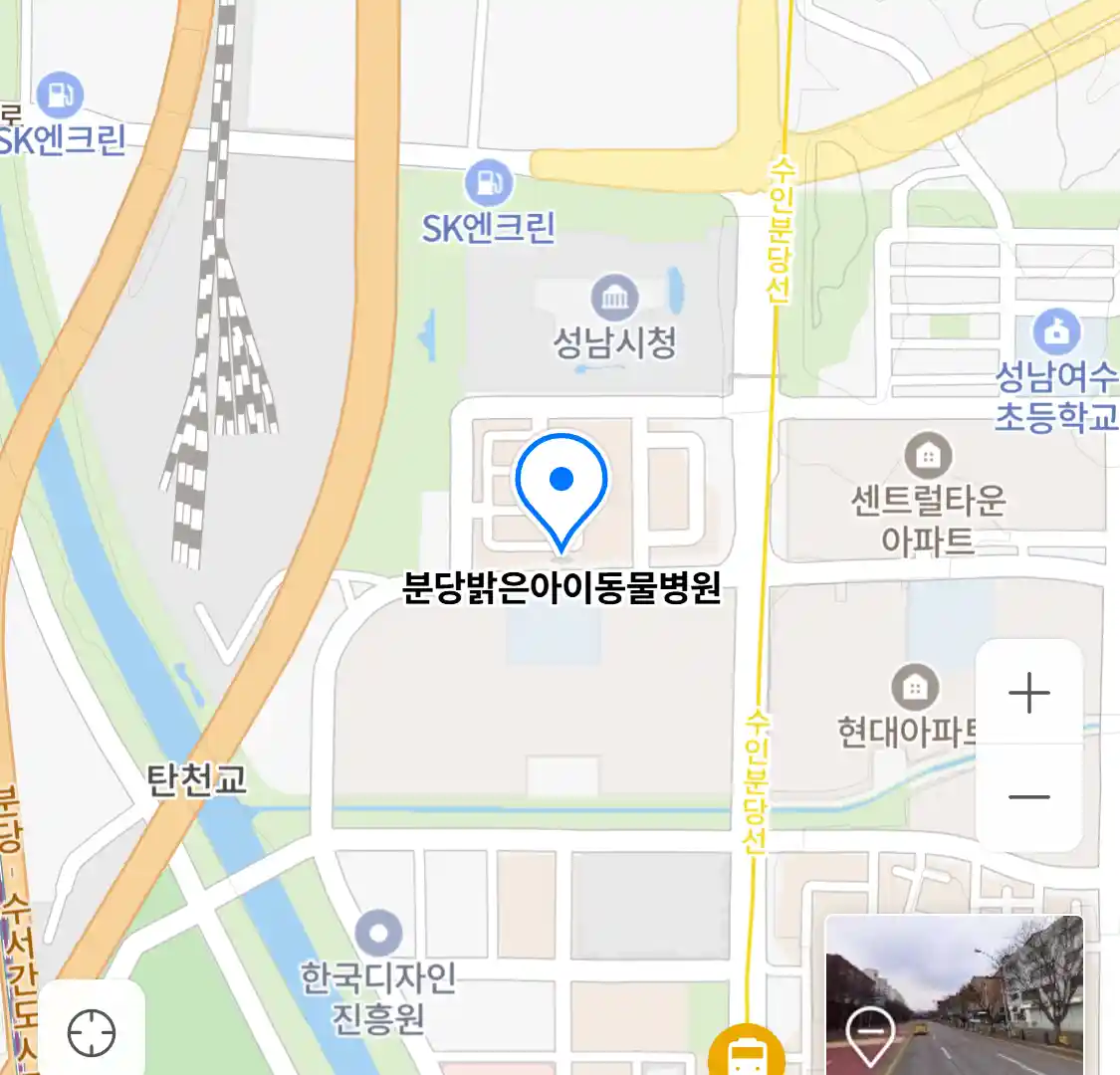 분당밝은아이동물병원