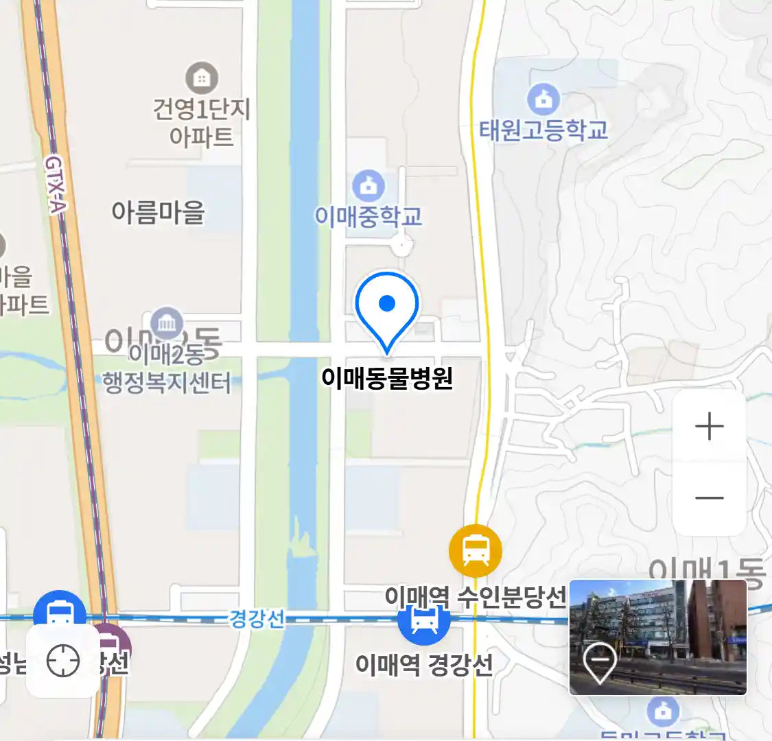 이매동물병원