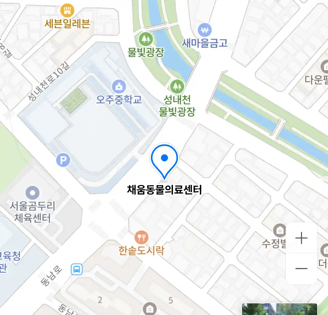 채움동물의료센터