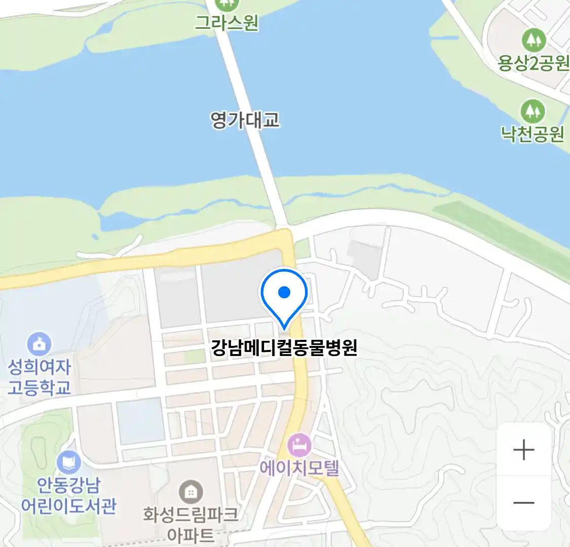 강남메디컬동물병원