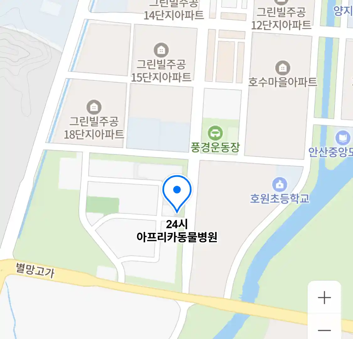 24시 아프리카동물병원