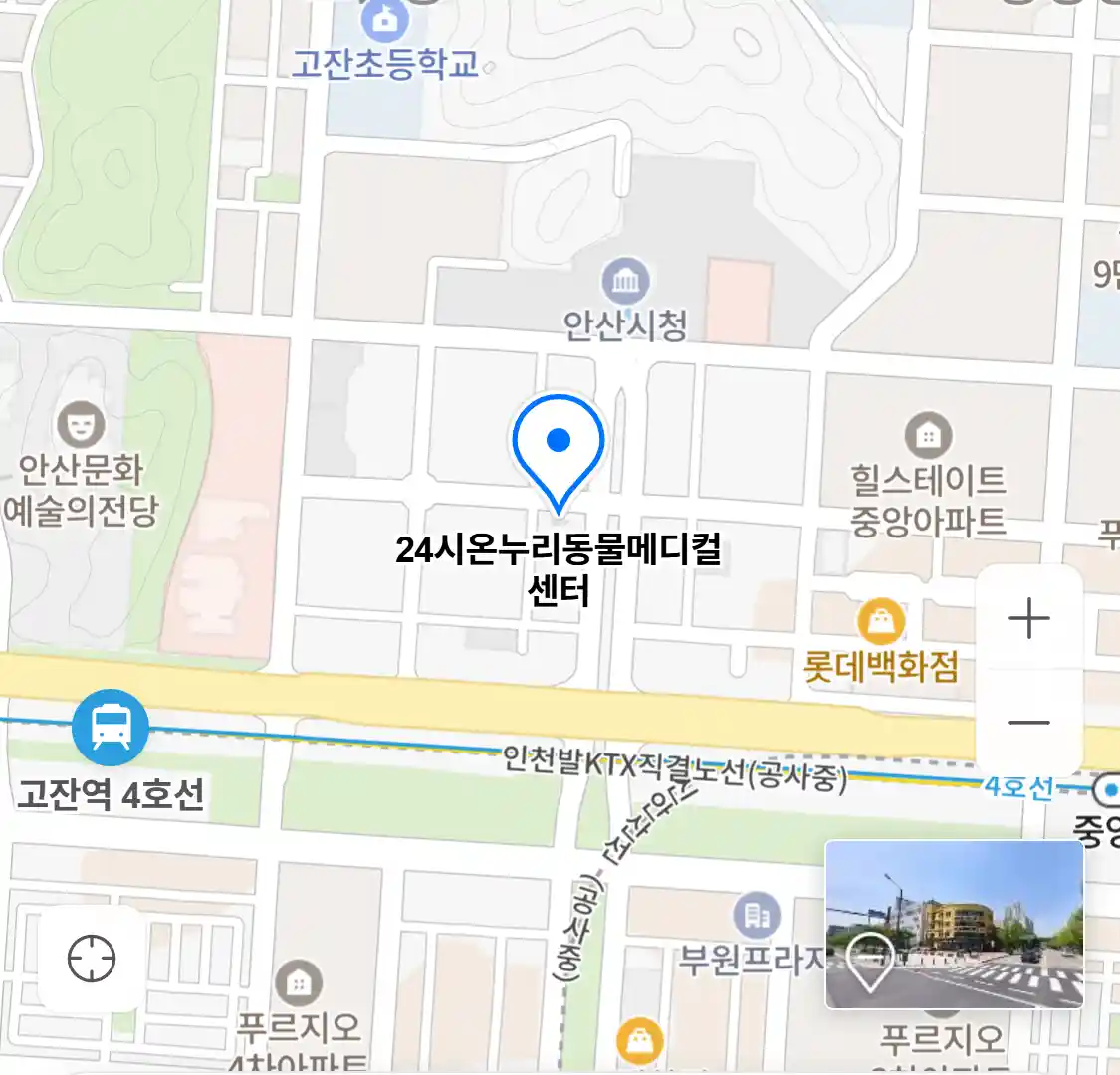 24시온누리동물메디컬센터