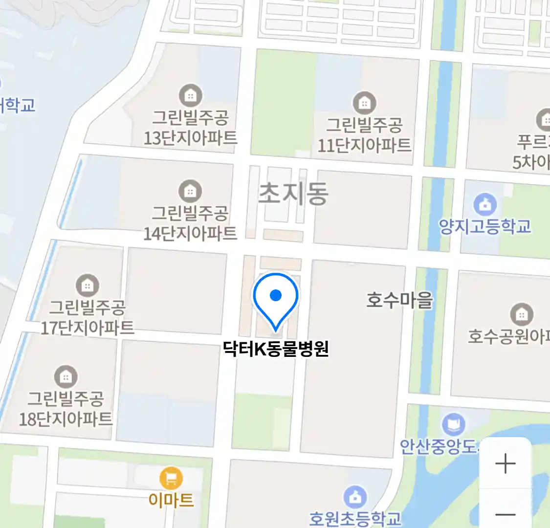 닥터K동물병원