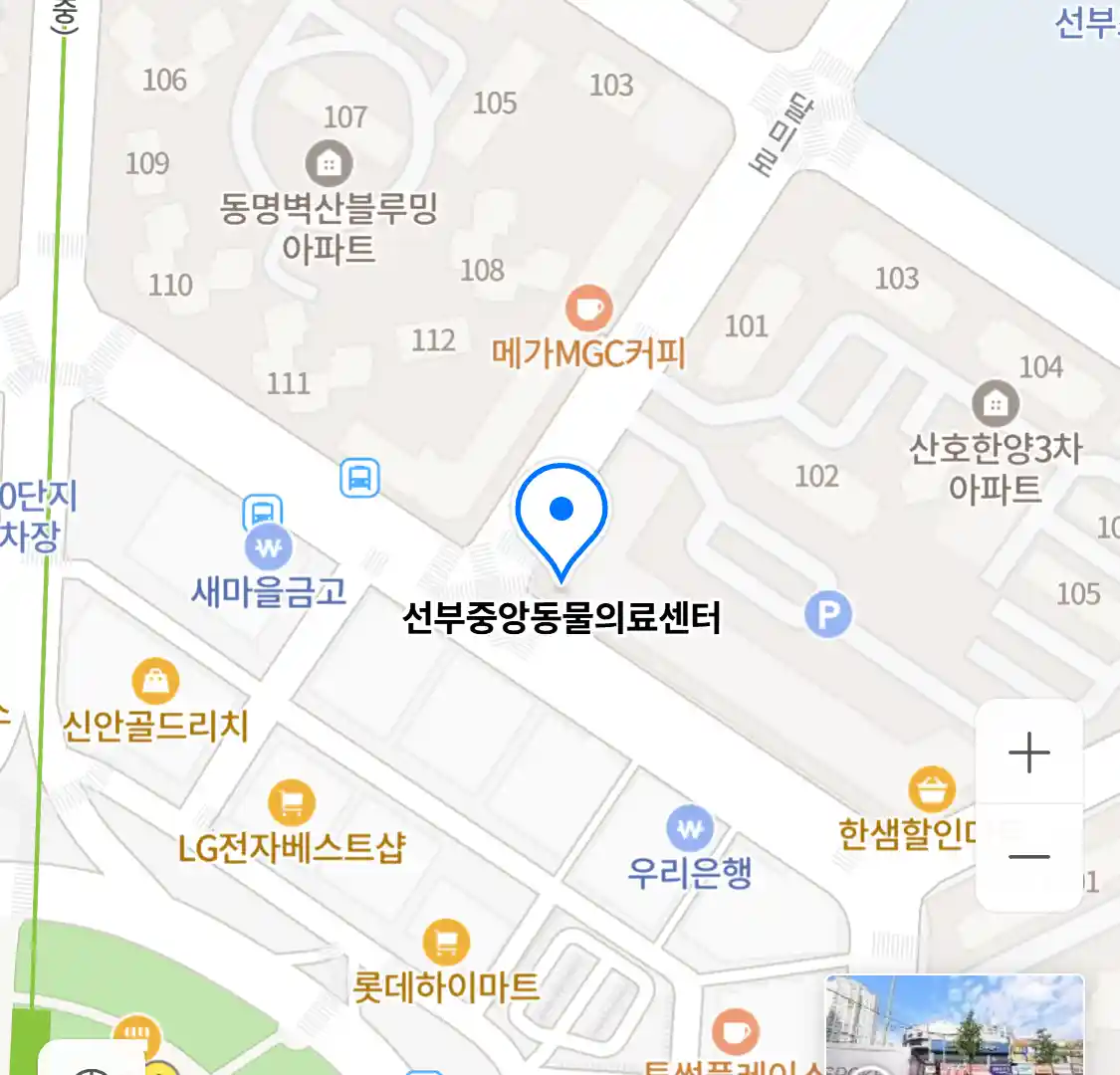 선부중앙동물의료센터