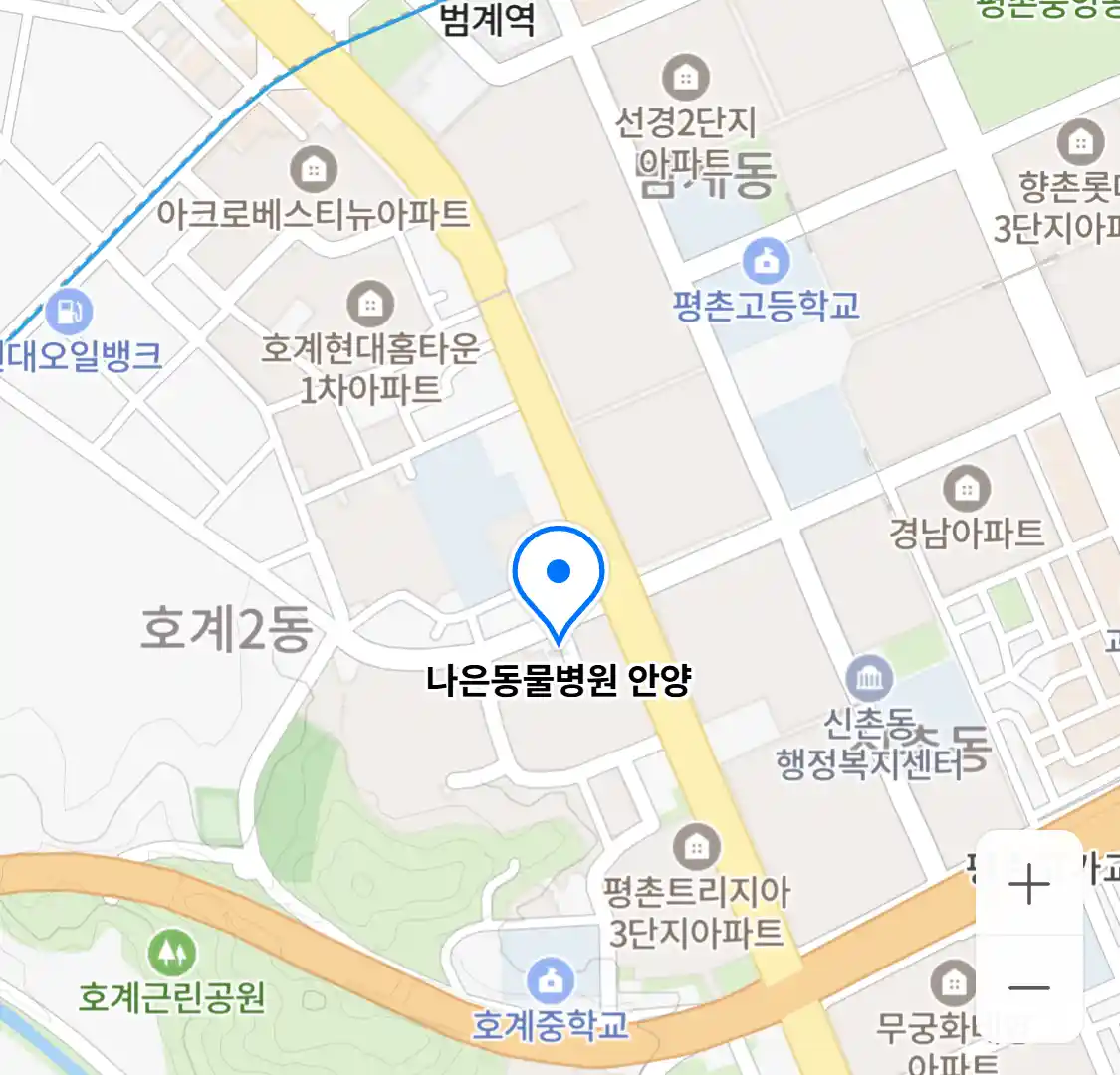나은동물병원 안양