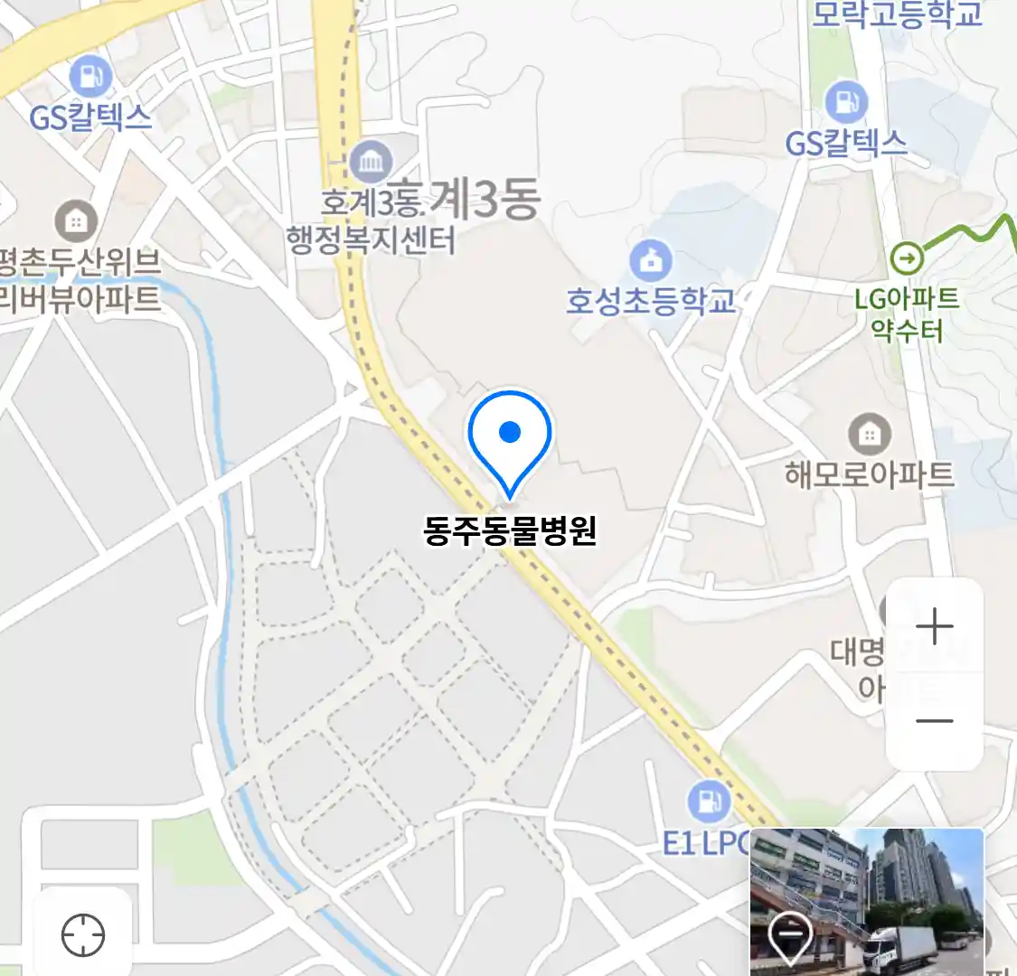 동주동물병원