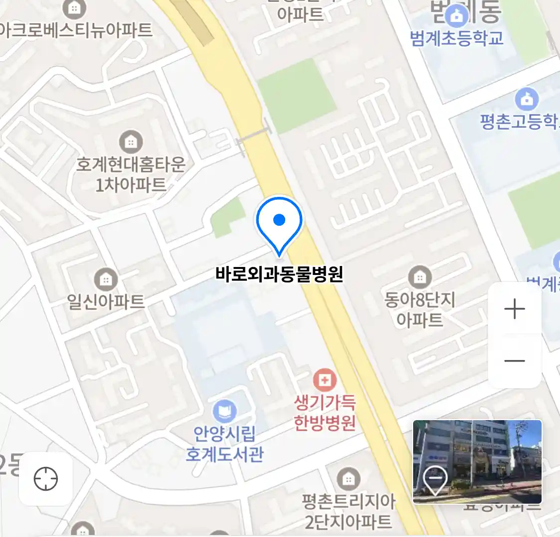 바로외과동물병원
