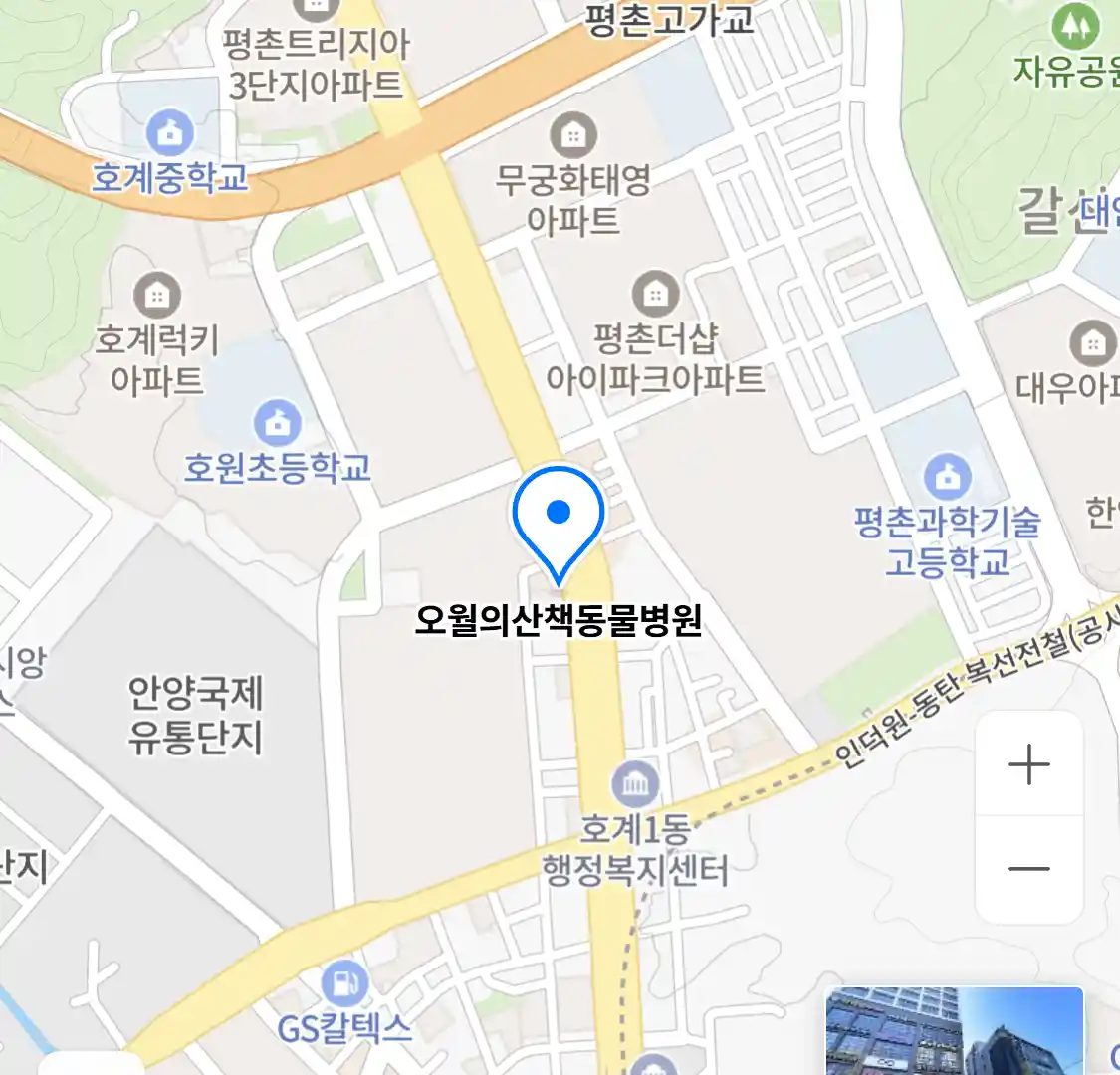 오월의산책동물병원