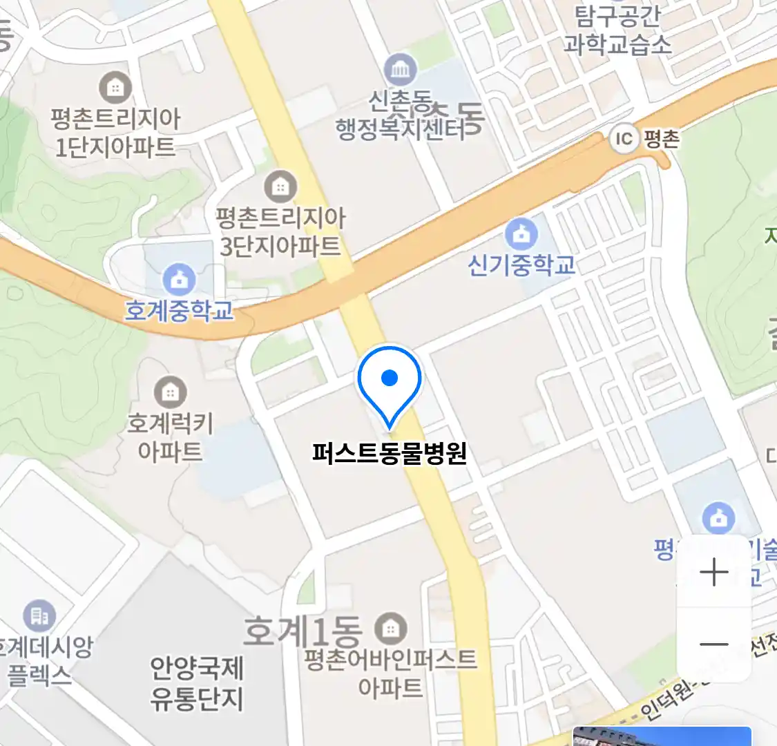퍼스트동물병원