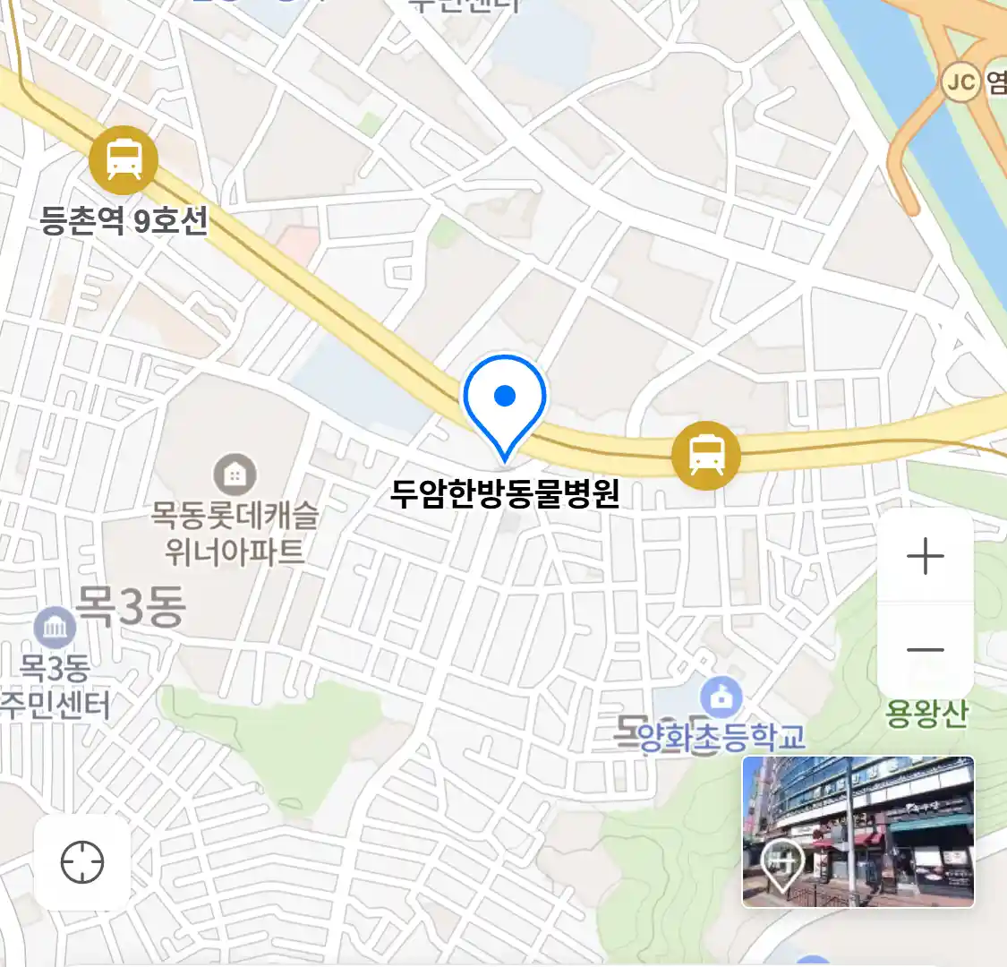 두암한방동물병원