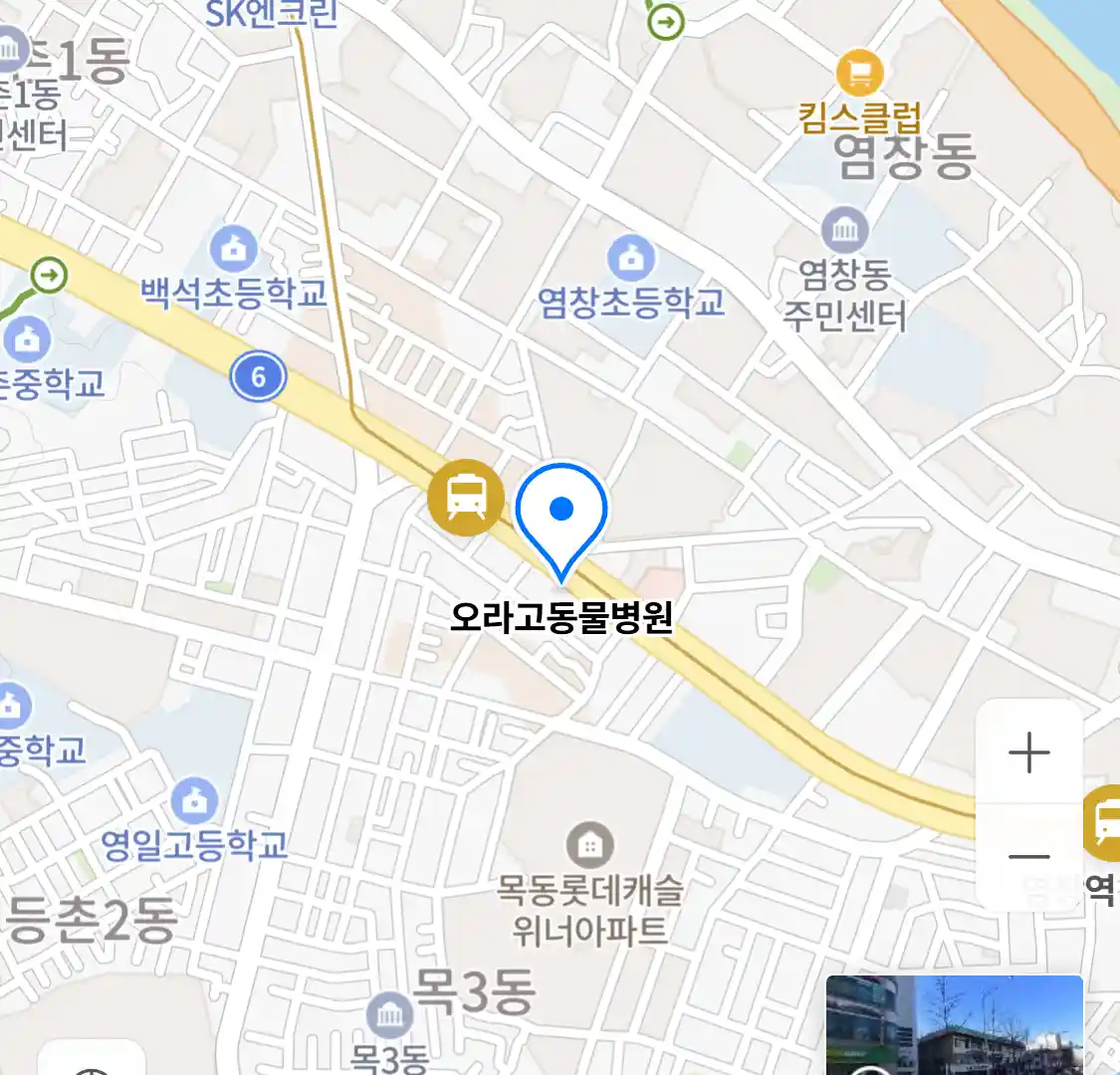 오라고동물병원