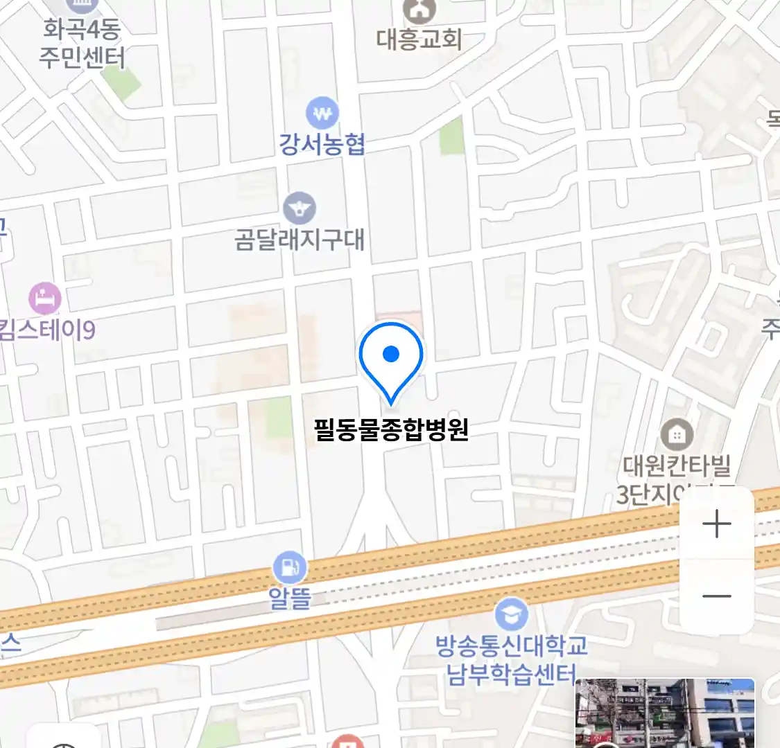 필동물종합병원