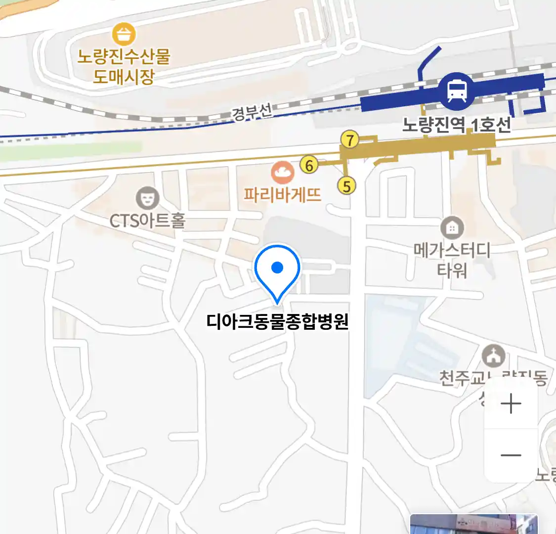디아크동물종합병원