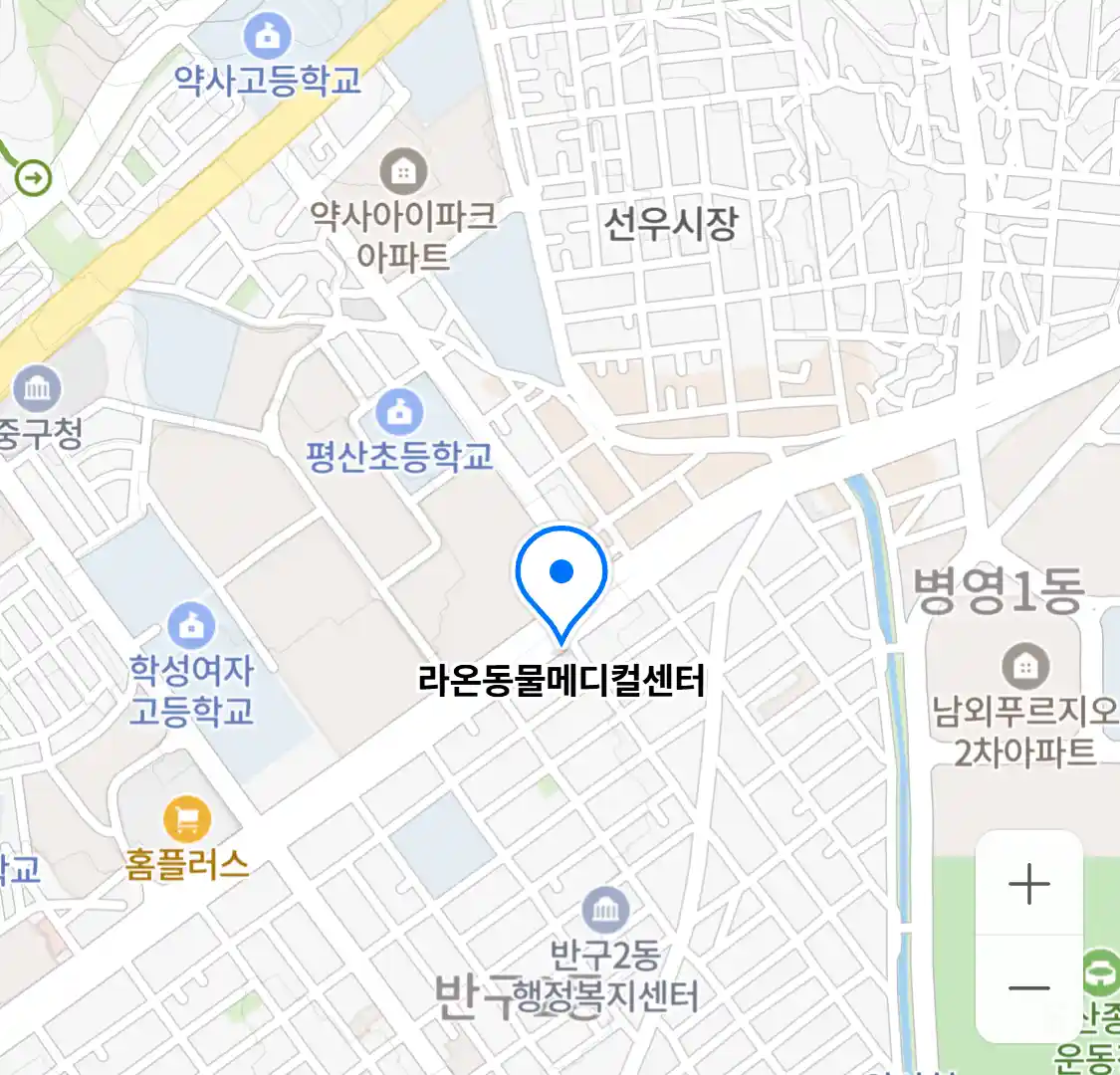 라온동물메디컬센터