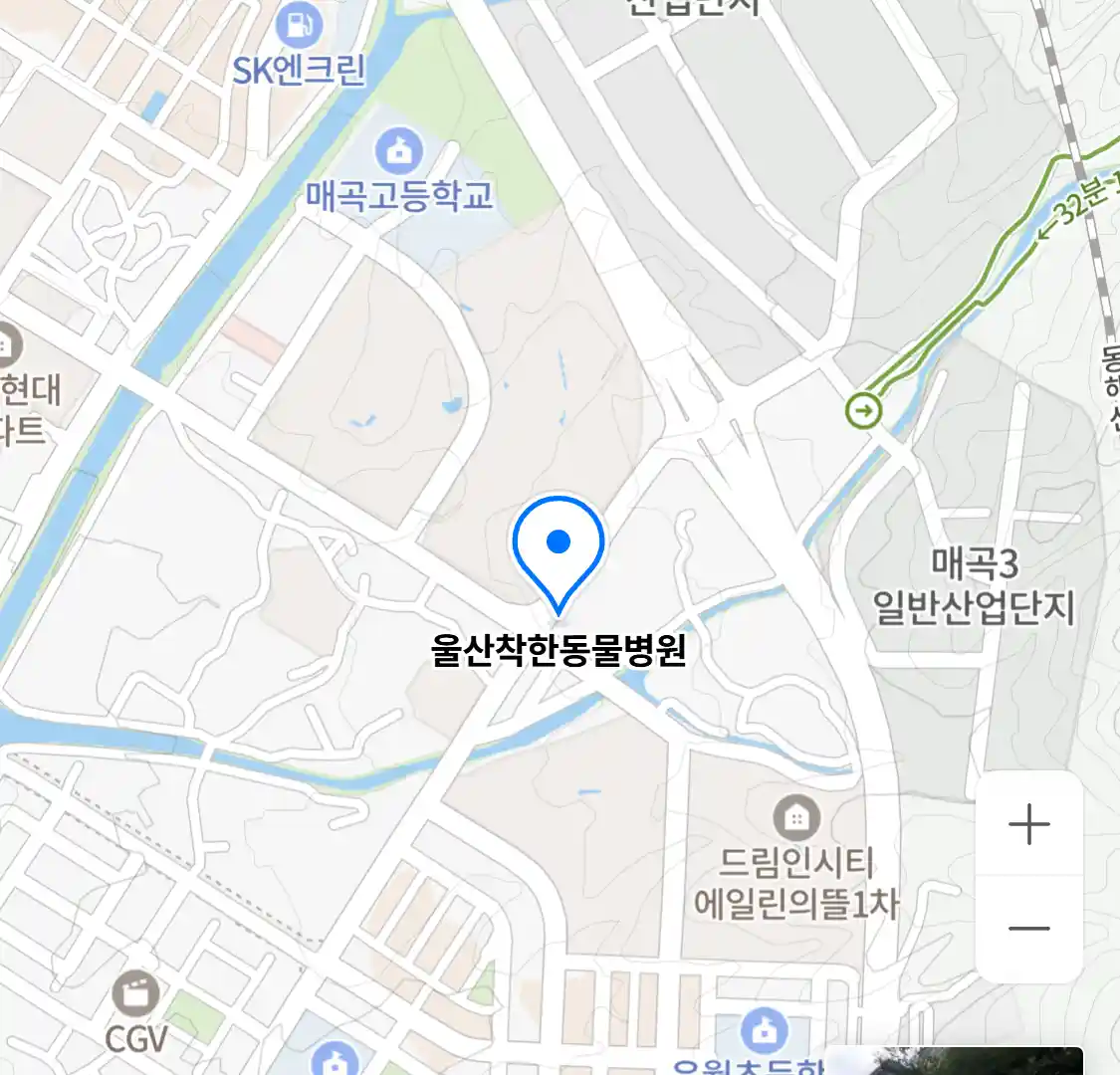 울산착한동물병원