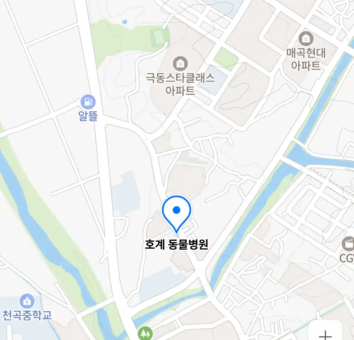호계 동물병원