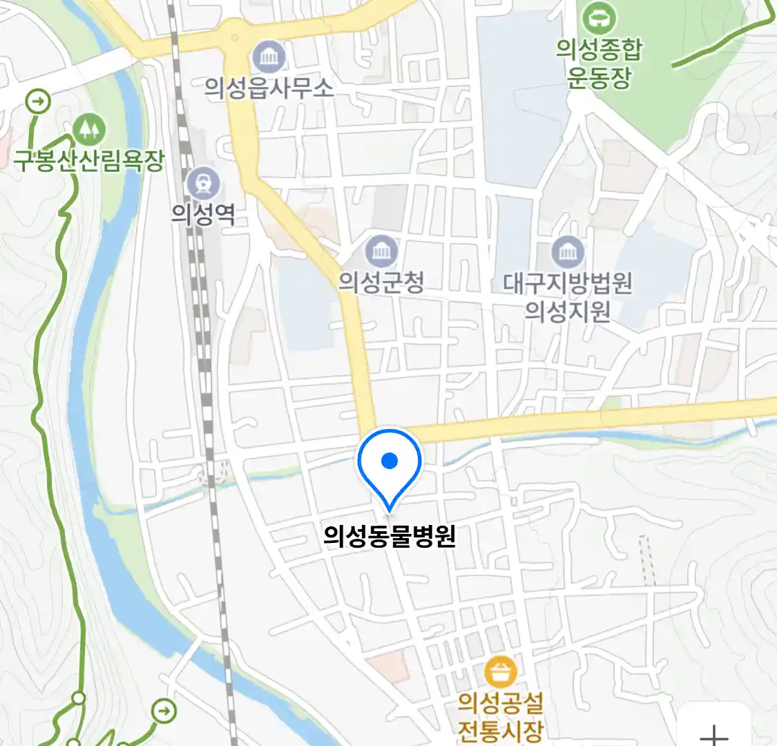 의성동물병원