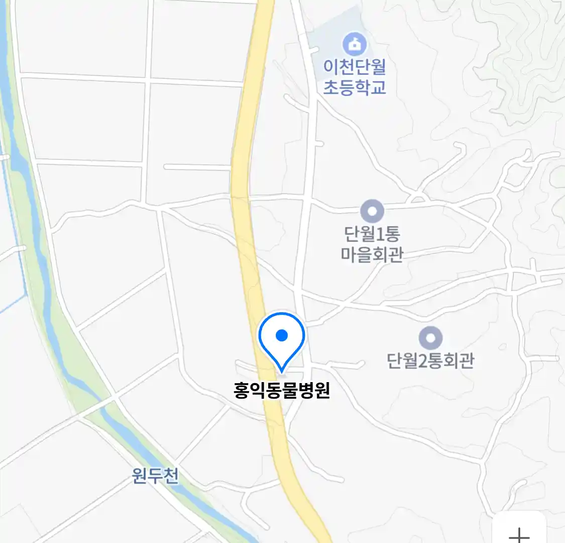 홍익동물병원