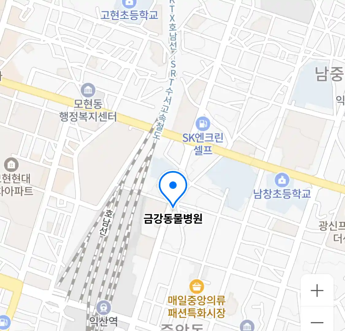 금강동물병원